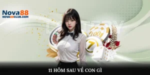 11 hôm sau về con gì