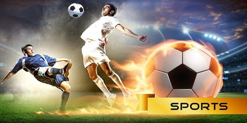 Danh sách sảnh thể thao hot tại website
