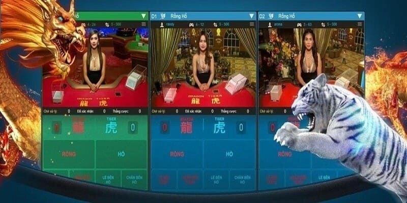 Nên dựa vào bảng kết quả trước khi cược