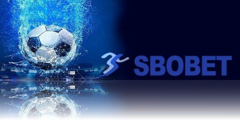 Tổng quan thông tin sơ lược về sảnh thể thao SBO